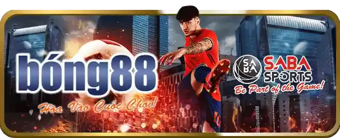 Chính sách chơi có trách nhiệm của s666me casino